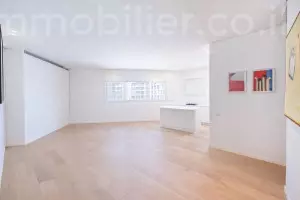 Apartamento 4.5 cômodos Tel Aviv Shenkin