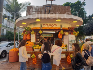 Продажа Дуплекс Tel Aviv