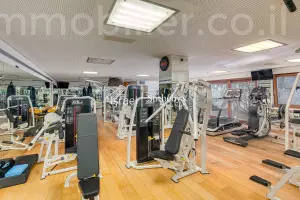 Вилла 10 комнат Savion Savion